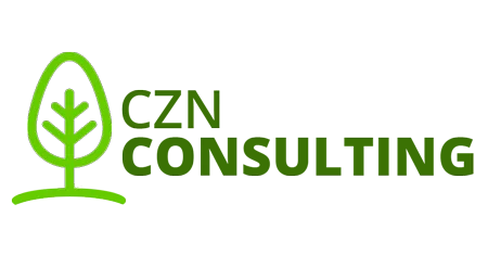 CZN Consulting
